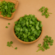 Coriander Leaves ( Dhaniya Patta)